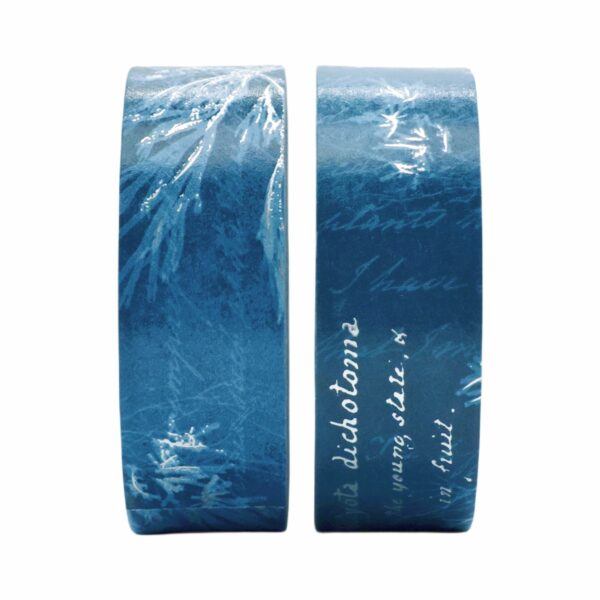 Twee rollen blauwe washi tape met witte bloem- en handschriftdetails