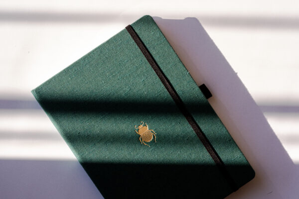 Dingbats Pro: Beetle