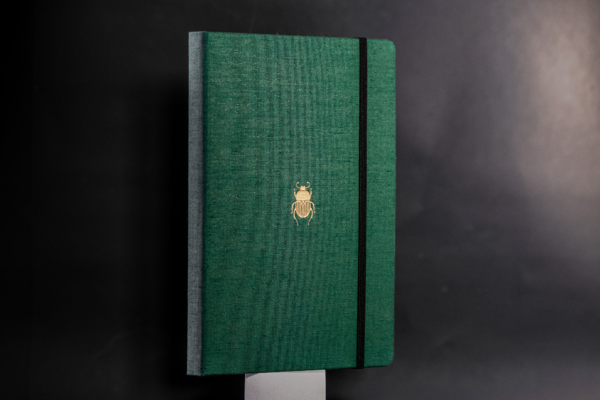 Dingbats Pro: Beetle